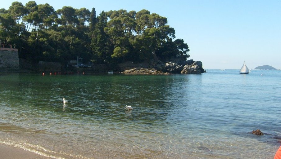 La spiaggetta di fiascherino e l'isola del Tino.JPG