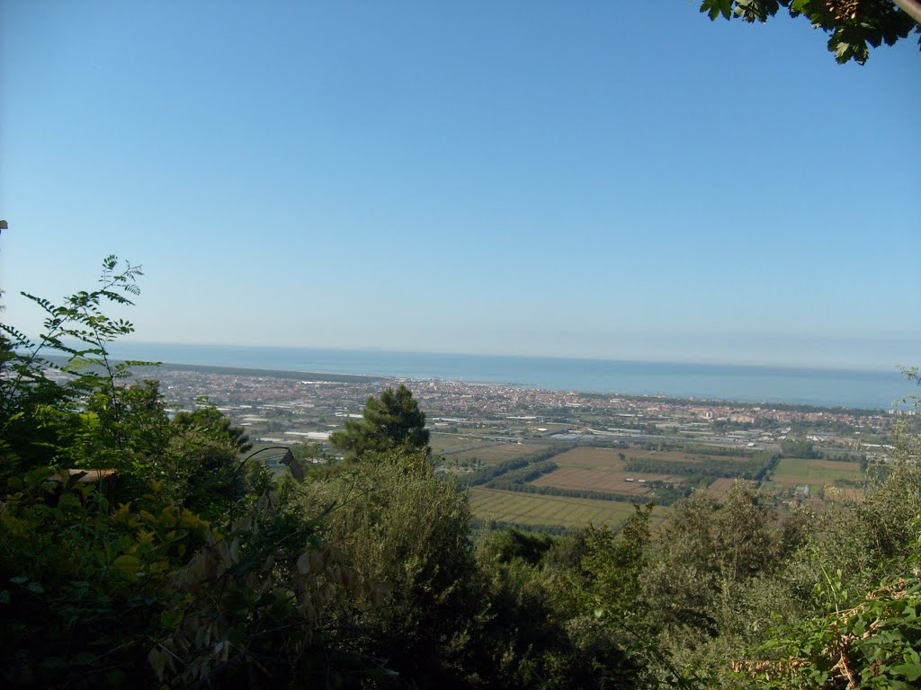 Costa Versilese vista dal castello di Montignoso.jpg