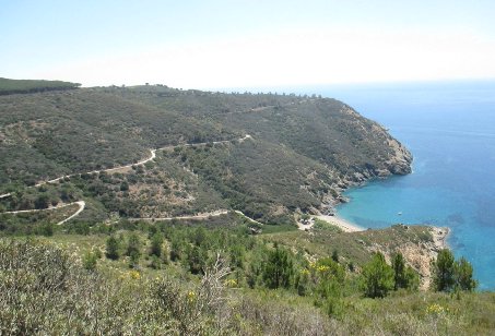 Spiaggia di remaiolo R.JPG