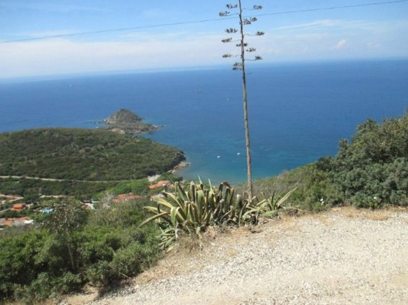 I Gemelli e la strada per la Spiaggia dellIinnamorata R.JPG