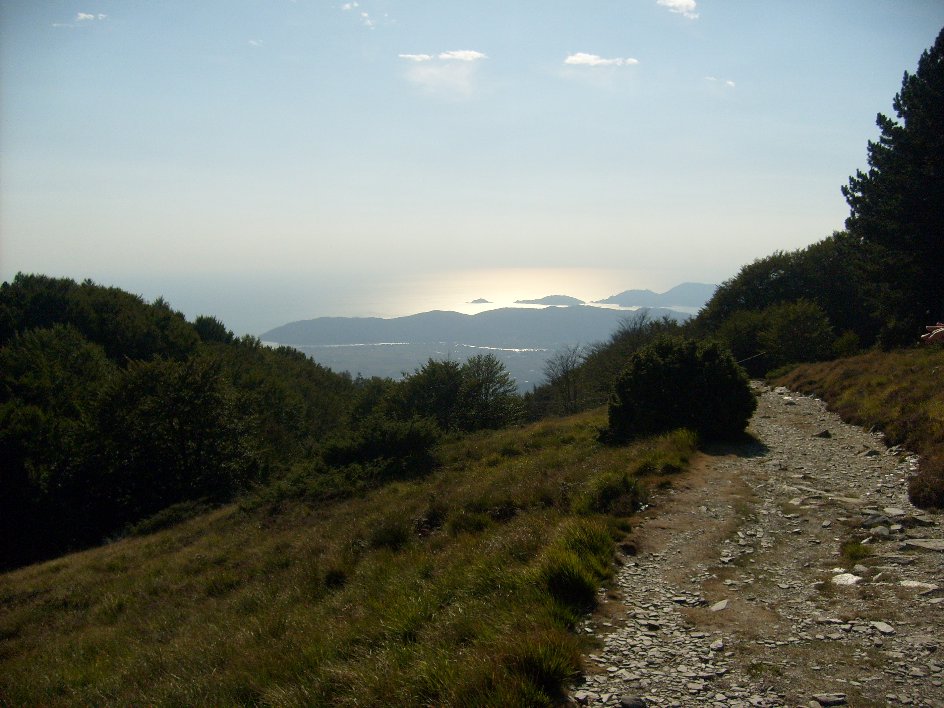 Imboccatura del golfo della Spezia visto da Campocecina (m.1320).JPG